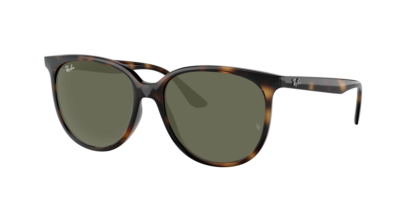 Havana, Green, Rayban