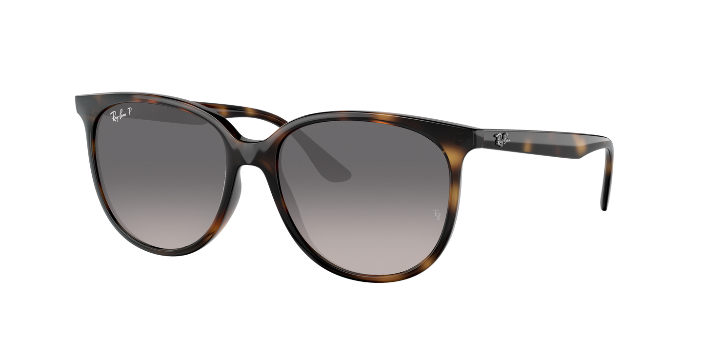 Havana, Grey Gradient-Polarized, Rayban