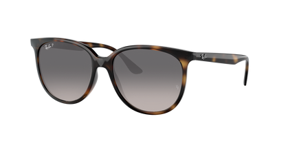 Havana, Grey Gradient-Polarized, Rayban