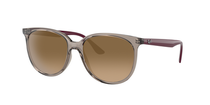 Transparent Grey, Brown Gradient, Sunberryrx