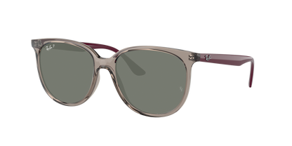 Transparent Grey, Green-Polarized, Rayban