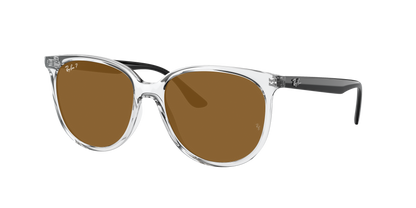 TRANSPARENT, Brown-Polarized, Rayban