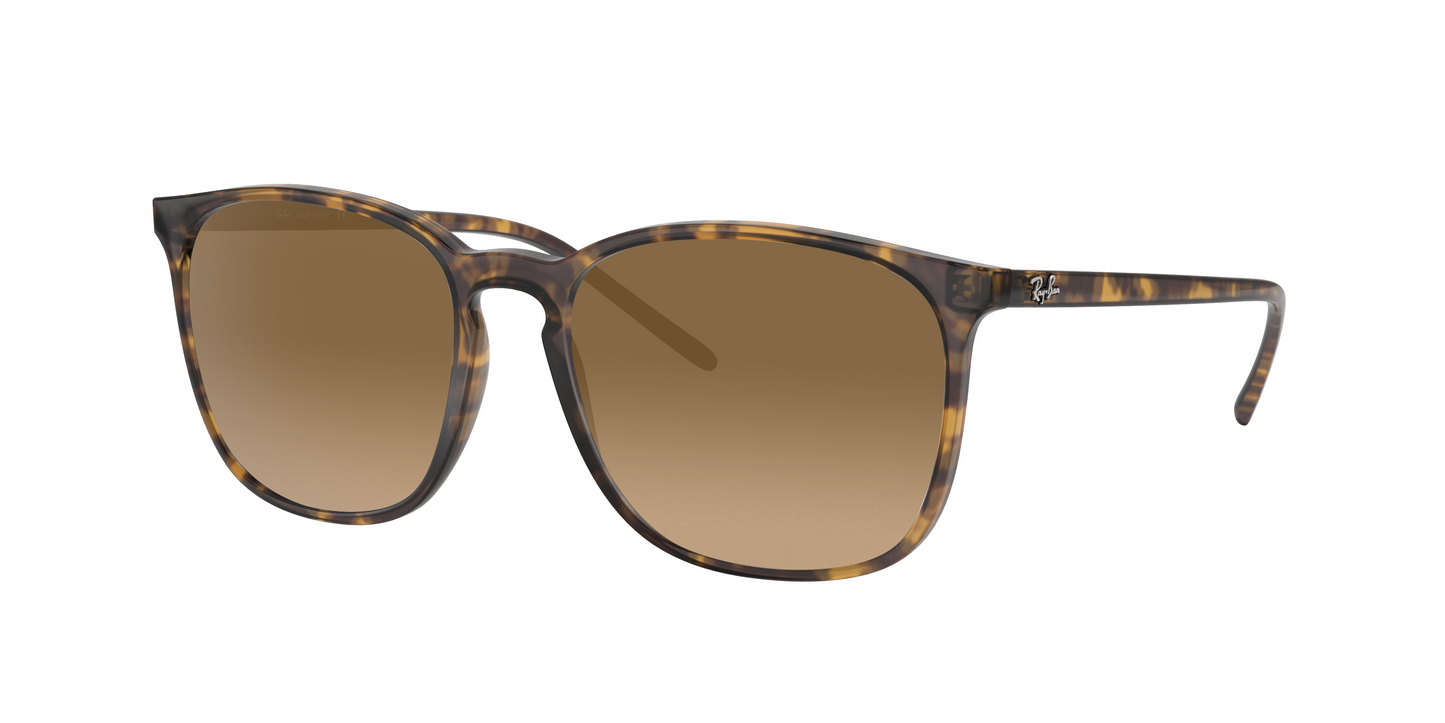 Light Havana, Brown Gradient, Sunberryrx