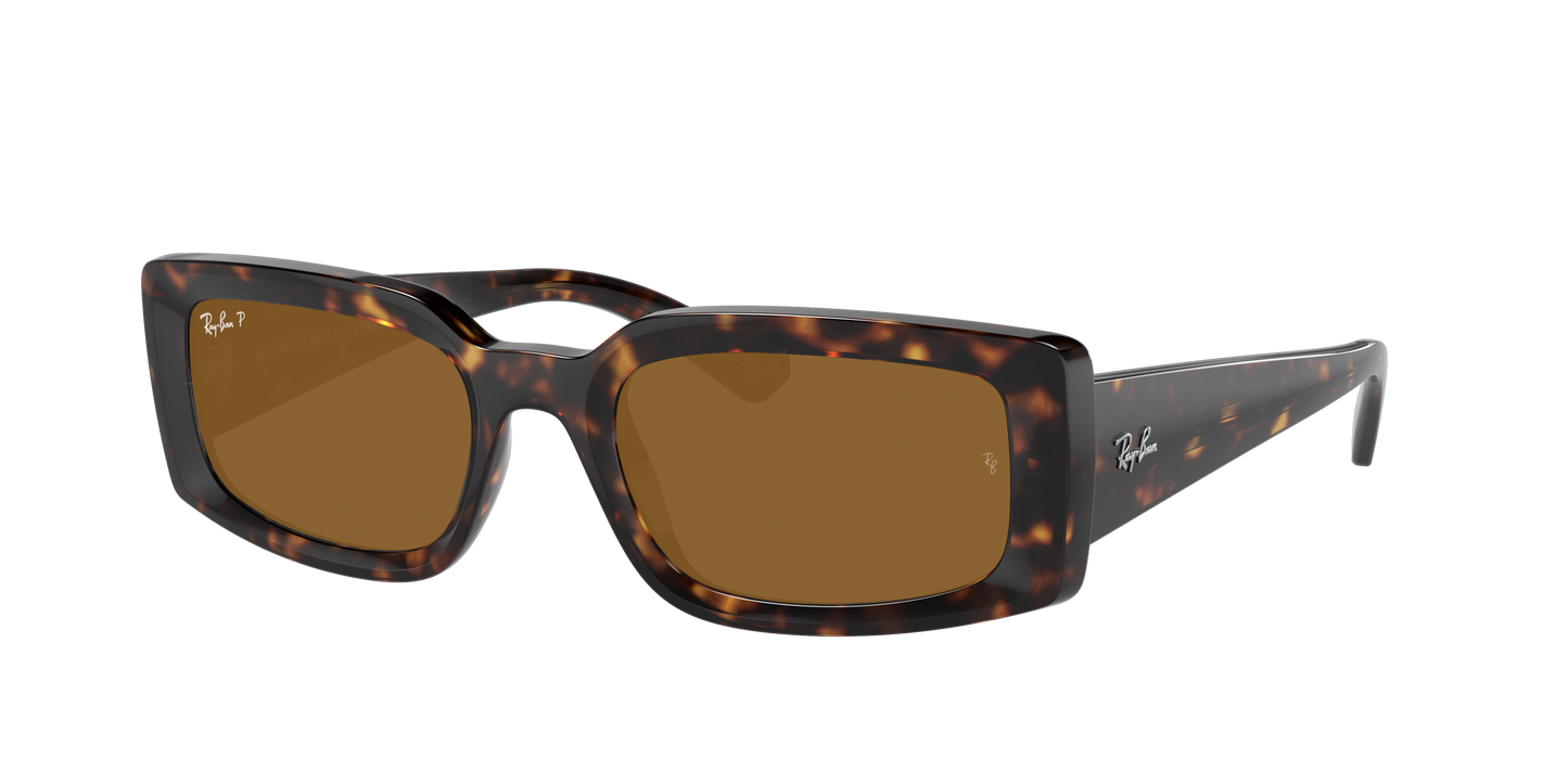 Havana, Brown-Polarized, Rayban
