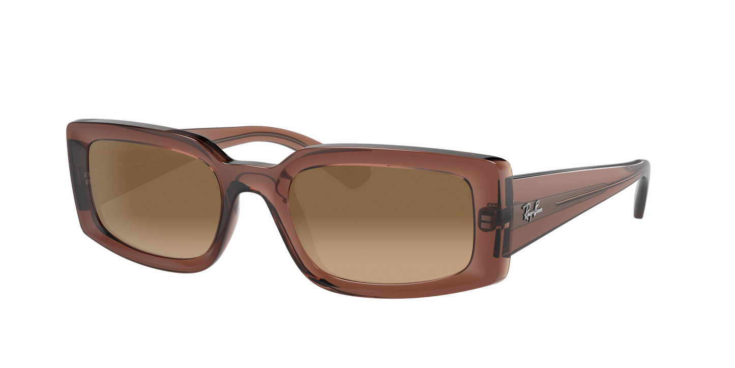 TRANSPARENT BROWN, Brown Gradient, Sunberryrx