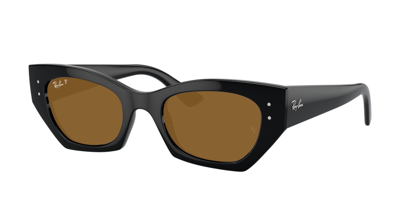Black, Brown-Polarized, Rayban