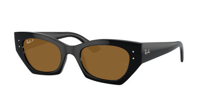 Black, Brown-Polarized, Rayban