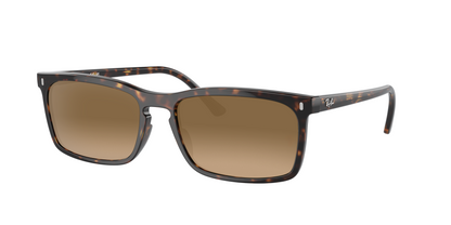 Havana, Brown Gradient, Sunberryrx