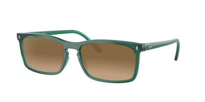 TRANSPARENT GREEN, Brown Gradient, Sunberryrx