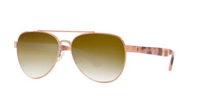 Shiny Rose Gold Metal, Brown Gradient