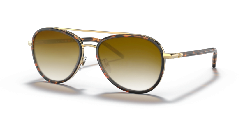 Dark Tortoise, Brown Gradient