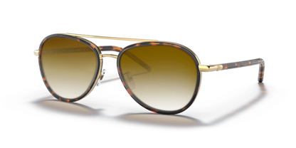 Dark Tortoise, Brown Gradient