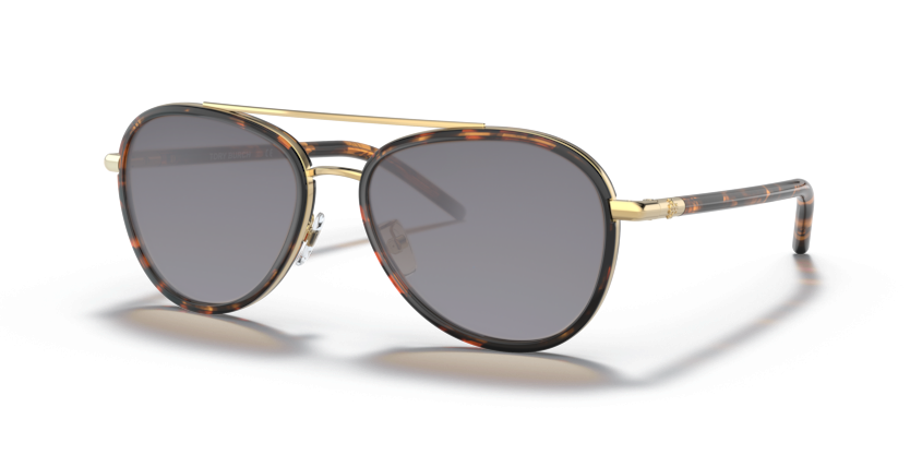 Dark Tortoise, Grey-Polarized