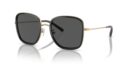Black, Grey-Polarized