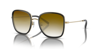 Black, Brown Gradient