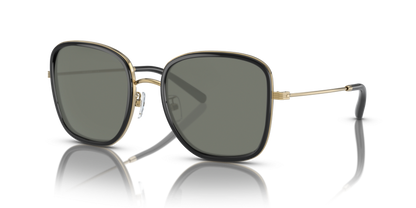Black, Green-Polarized
