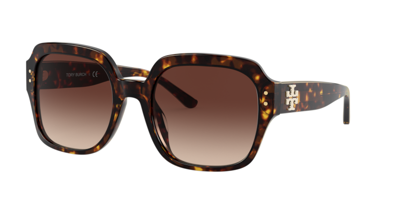 Dark Tortoise, Brown Gradient