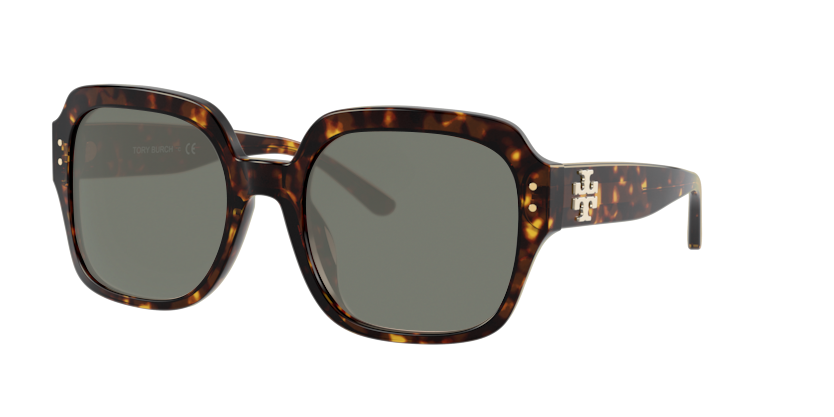 Dark Tortoise, Green-Polarized