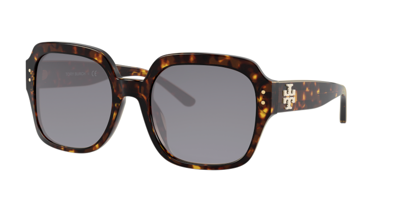 Dark Tortoise, Grey