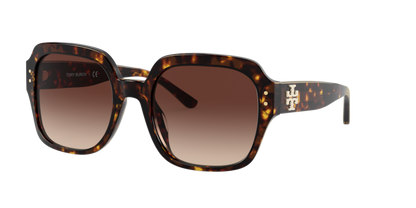 Dark Tortoise, Brown Gradient