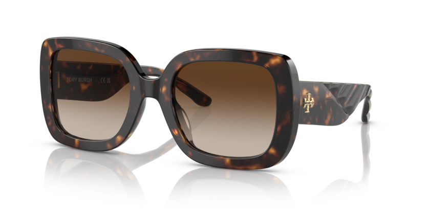 Dark Tortoise, Brown Gradient