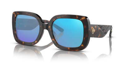 Dark Tortoise, Blue-Mirrored